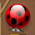Click to play Spider Bugs