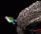 Click para jugar a FlashWars