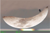 Click para jugar a Luna skate