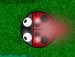 Click to play Hambrientos insectos